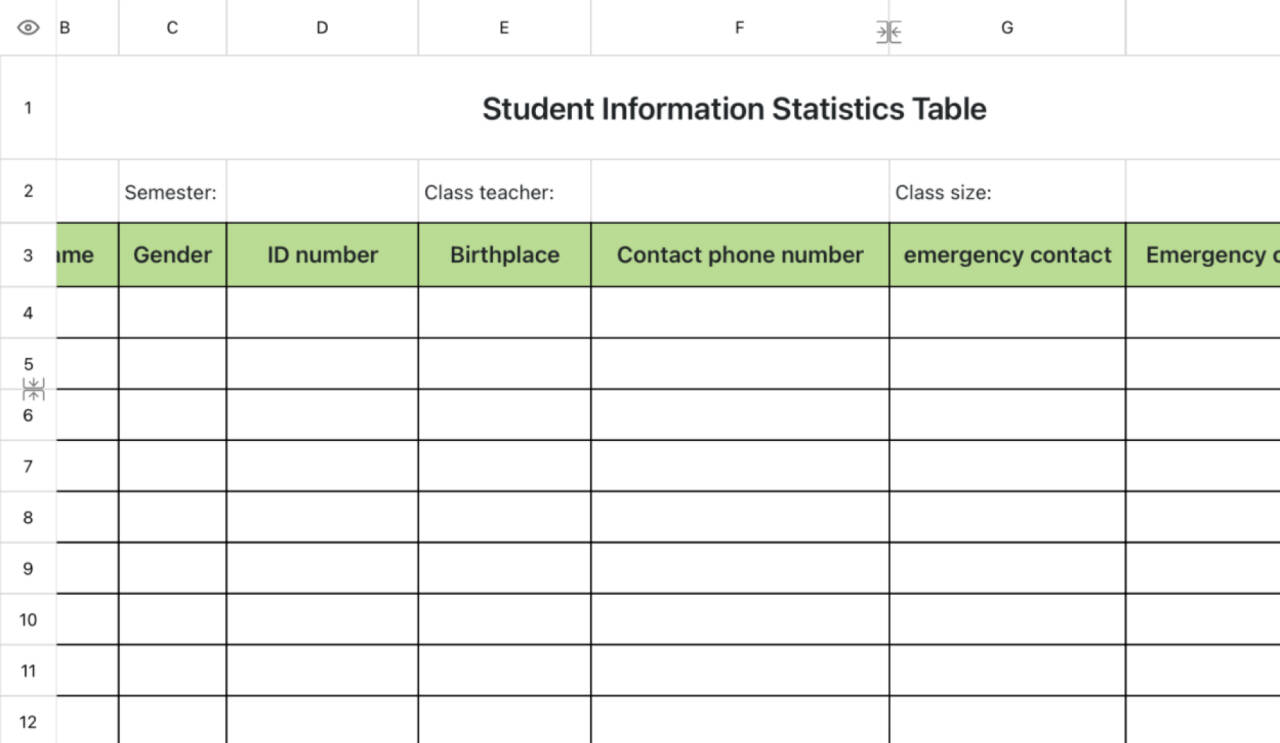 Student Information Statistics Sheet 1